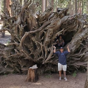 Meet your Posher, Sam